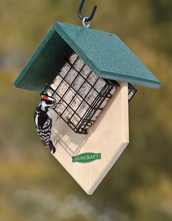 Duncraft Double Woodpecker Suet Feeder