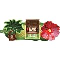 Polynesian Paradise 4-pc. Condiment Set