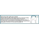 SMALL - LITTLE STINKER - Dog Halloween Costume