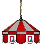 16 Swag Hanging Lamp Light Ohio State University OSU Buckeyes - Free Shipping