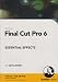 Final Cut Pro 6 Essential Effects (PC DVD)