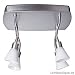 Paulmann Spotlights Curcuma Rondell 4x35W GU4 Chrom matt/Weiß opal 230/12V