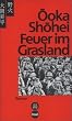 Feuer im Grasland: Roman