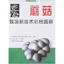 41LTNyS9M1L._SL500_AA220_.jpg