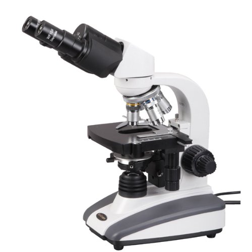 AmScope Binocular Biological Compound Microscope 40X-2000X On Sale