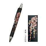 �{�v���� �{�[���y�� �{�w���G�i�v���G�j���v���E���ܔ�����@�������