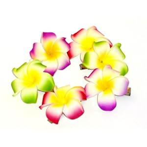 Hawaiian Plumeria Foam Flower Hair Clips Pairs of 3 Colors