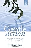 Gentle action : bringing creative change to a turbulent world
