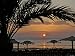 Dahab, Egypt, Middle East:Silhouette of Palm Tree over the Sunset Photographic Poster Print by Brimberg & Coulson, 32x24