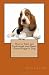 How to Train and Understand your Basset Hound Puppy & Dog