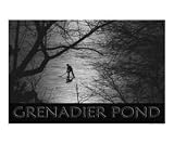 Grenadier Pond Photographic Poster Print by Andrew Fare, 20x16