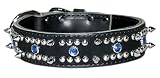 1 1/2 Df Spiked, Studded, & Jeweled Latigo