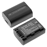 High Capacity Replacement Camcorder Lithium-Ion Battery Compatible with Son ....