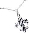 Fun & Funky! Deco Crystal Zebra Stripe Fleur De Lis Necklace