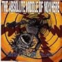 The Absolute Middle of Nowhere, Volume 17 [Chicago Rock] [Rare Tracks!!]
