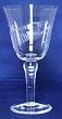Individually Hand Etched Fishing Fly Water Glass 8" Set /4