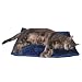 Pet Supplies : Pet Thermal Cat Mat - Blue Color