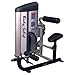 Body Solid Pro Club Line Series 2 Ab and Back Machine With 160 lb Stack