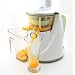 Hurom HU-100 Slow Juicer, Snow White