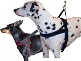 Eigenschaften Limex  / Hundegeschirr mit Neopren gefüttert blau 60-70