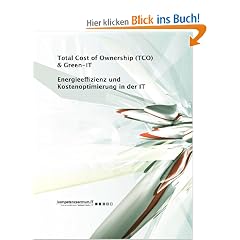 Energieeffizienz und Kostenoptimierung in der IT: Total Cost of Ownership (TCO) & Green-IT