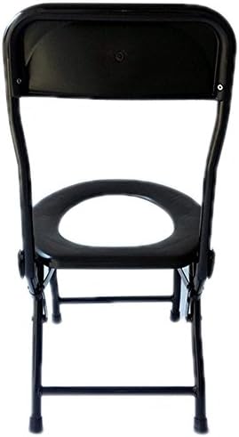 DANQI Mobile Commode Chair old pregnant women children toilet stool potty chairs portable back toilet