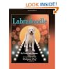 Labradoodle