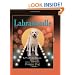Labradoodle