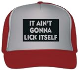 IT AIN’T GONNA LICK ITSELF Adult Mesh Back Trucker Cap / Hat