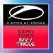 Sean Tyas-Ivy / Tingle