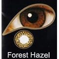 Coloured Contact Lenses with 120ml Solution and Case - Forest Hazel (3 Months)