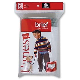 Hanes 6-pk. Boys Toddler Briefs