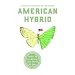 American Hybrid: A Norton Anthology of New Poetry