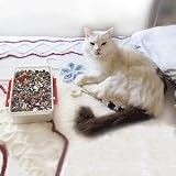 Mr. Kitty''S Big Bead Bonanza - Beads Mix - 1/2 Pound