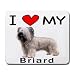 I Love My Briard