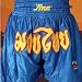 T-Sport Thai Boxing Shorts (Size: 28-30 Waist )