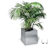 Planter on wheels (stainless steel) (19.75"H x 19.5"W x 19.5"D)