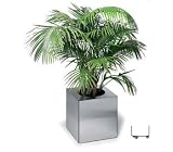 Blomus 65101 Planter On Wheels40 X 40 X 40 Cm