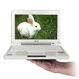 8.9/INTEL/4G SSD/512MB DDR2/LINUX/PURPLE ( EEEPC900-PF0009 )
