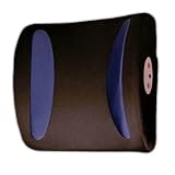 Kitchen & Housewares : Homedics Lumber Back Massager BKL-100-2GB