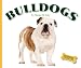 Bulldogs (Domestic Dogs)