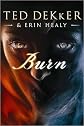 Ted Dekker'sBurn (Center Point Christian Mystery (Large Print)) [Large Print] [Hardcover](2010)