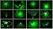 Photon
