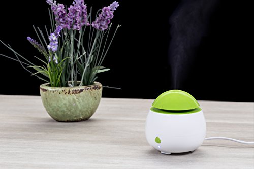 Classic Green and White Mist Humidifier + Aroma Diffuser, Aromatherapy Essential Oil Diffuser Portable Ultrasonic Cool Mist Aroma Humidifier by Wasserstein