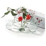 Two's Company Asian Array Bud Vases in Gift Box, Includes Assorted 5 Shapes, Hand Blown Glass, Set of 5