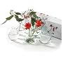 Two's Company Asian Array Bud Vases in Gift Box, Includes Assorted 5 Shapes, Hand Blown Glass, Set of 5