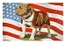 Marine Corp Boxer Dog with Flag MasterPoster Print, 12x18