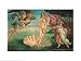 Birth Of Venus by Sandro Botticelli - Fine Art Print / Poster - 30.00 x 24.00