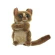 Tarsier