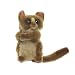 Tarsier